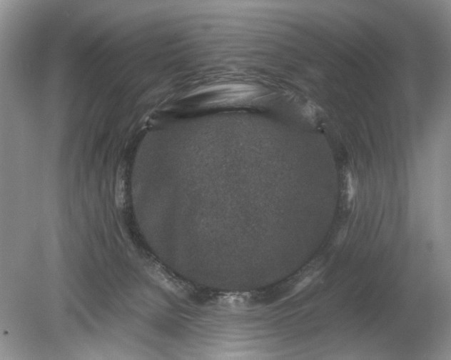 X0000078880080200611271338