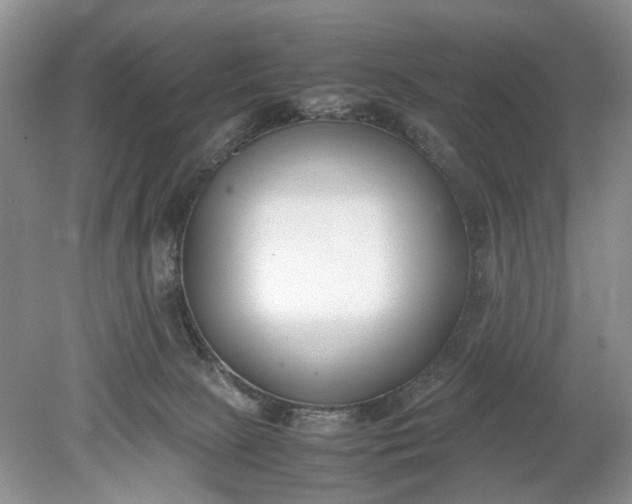 X0000078880081200611271338