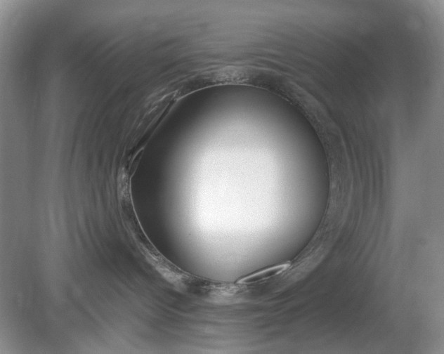 X0000078880096200611271338