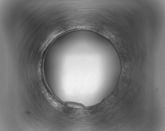 X0000078880098200611271337