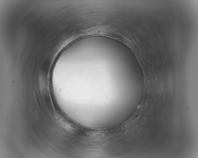 X0000078880100200611271337