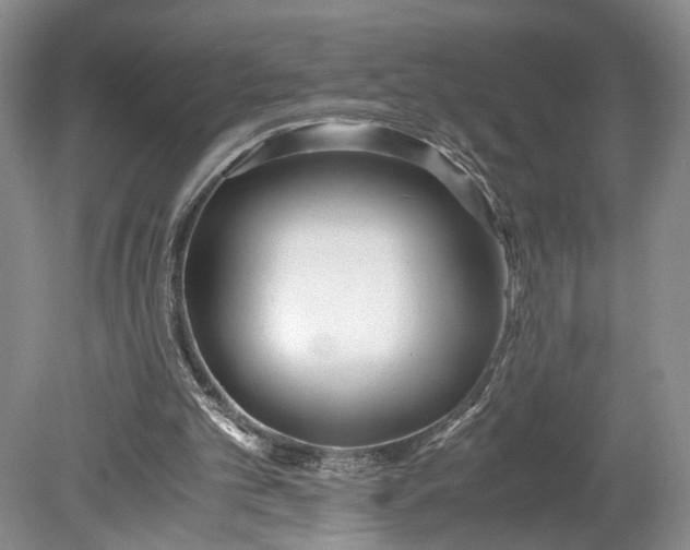 X0000078880101200611271337