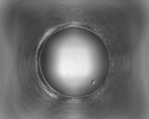 X0000078880102200611271337