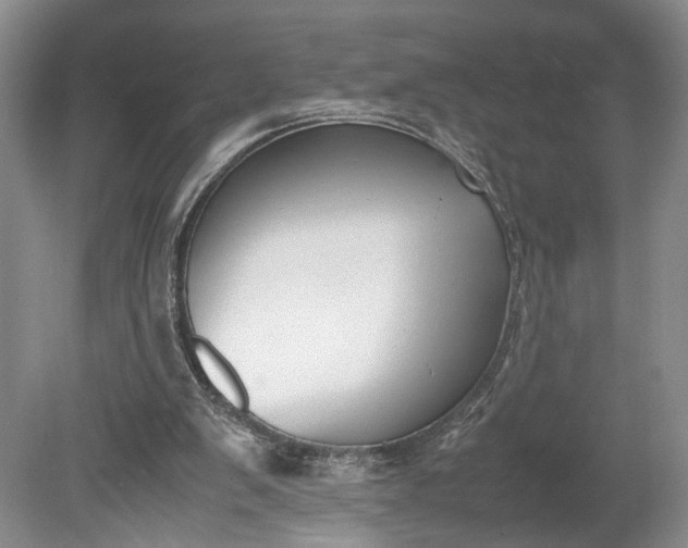 X0000078880103200611271337