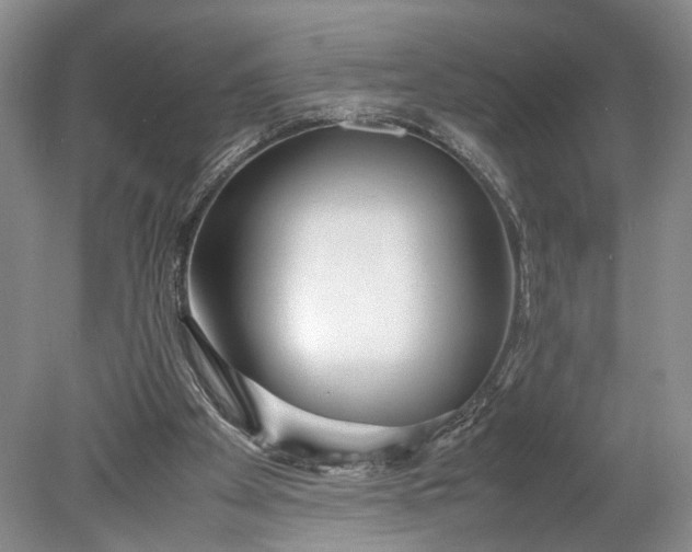 X0000078880105200611271337