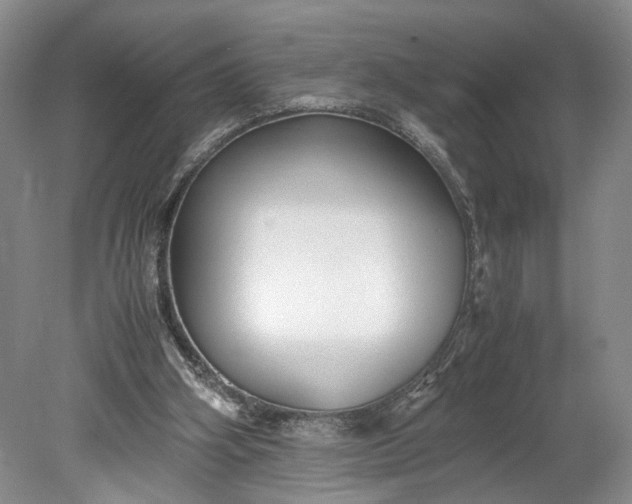 X0000078880106200611271337