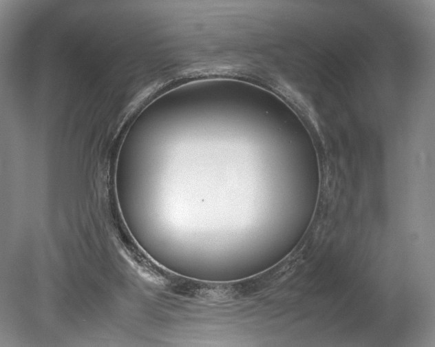 X0000078880107200611271337