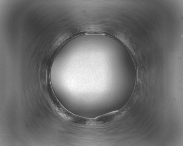 X0000078880109200611271337