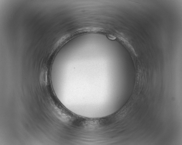 X0000078880110200611271337