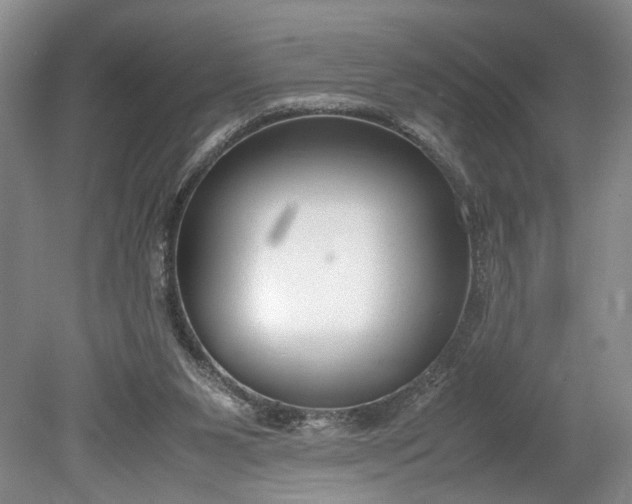 X0000078880111200611271337