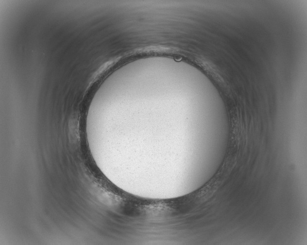 X0000078880112200611271337