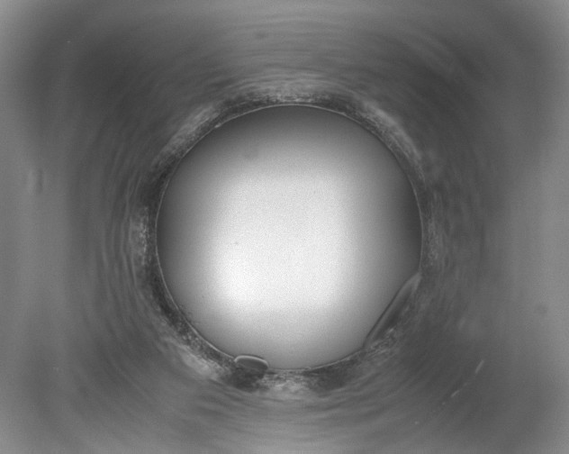 X0000078880113200611271337