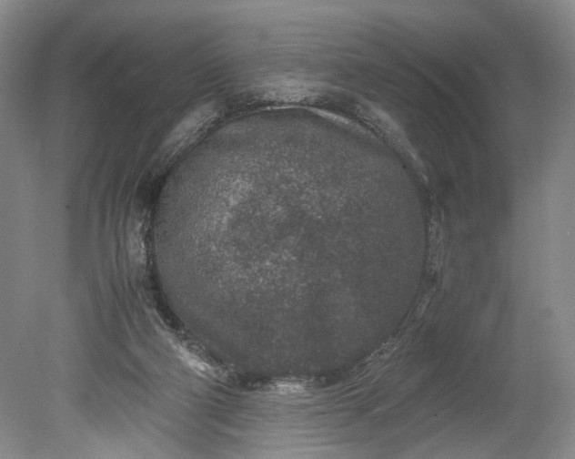 X0000078880114200611271337