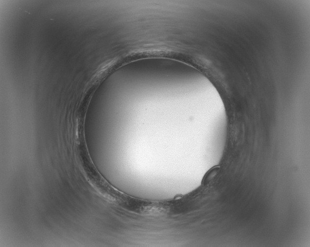 X0000078880115200611271337