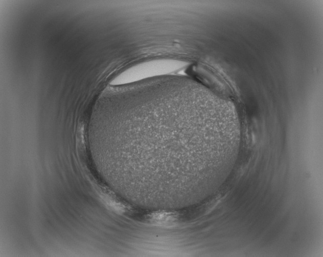 X0000078880117200611271337