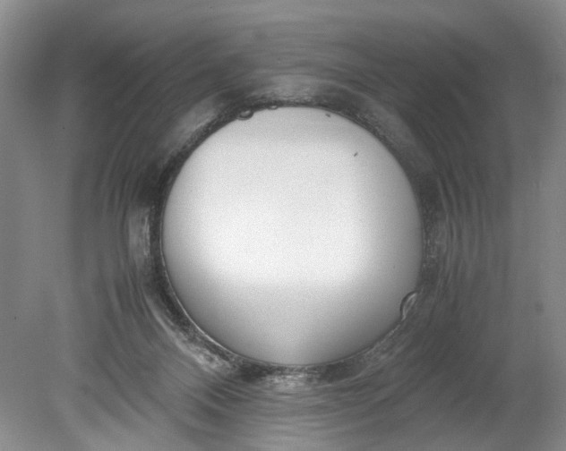 X0000078880120200611271337