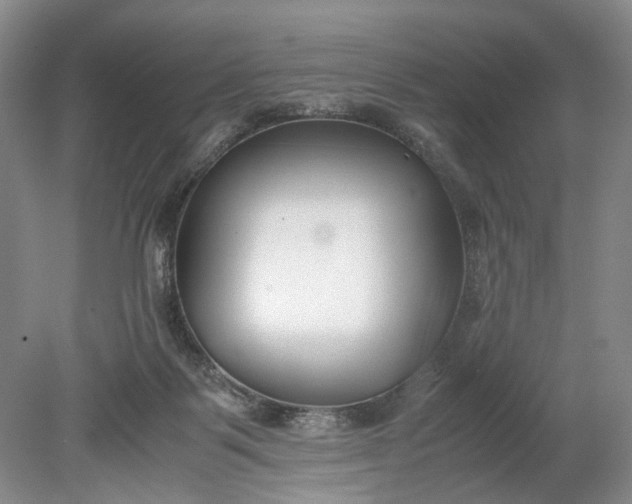 X0000078880123200611271337