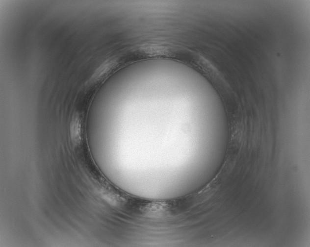 X0000078880124200611271337