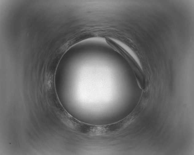 X0000078880125200611271337