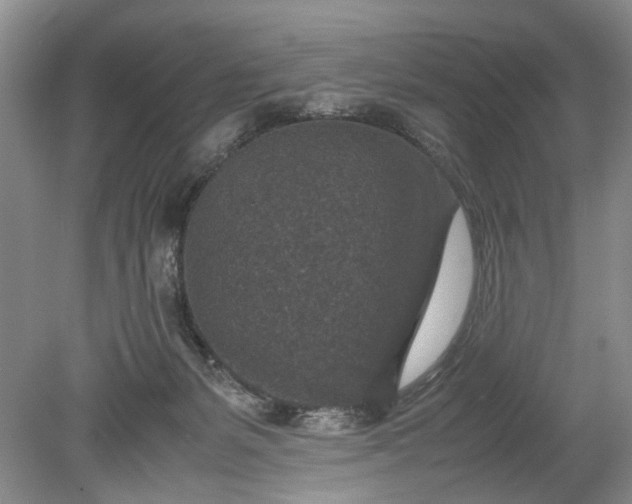 X0000078880127200611271337