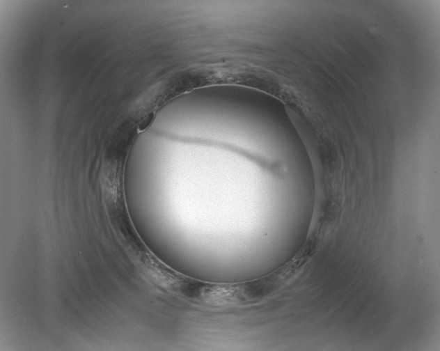 X0000078880129200611271337