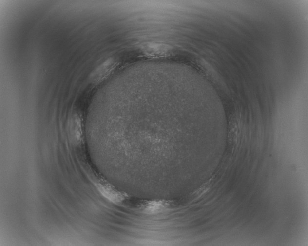 X0000078880130200611271337