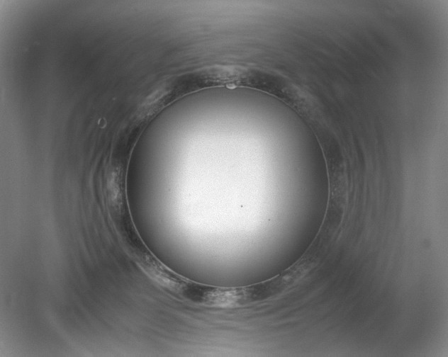 X0000078880131200611271337