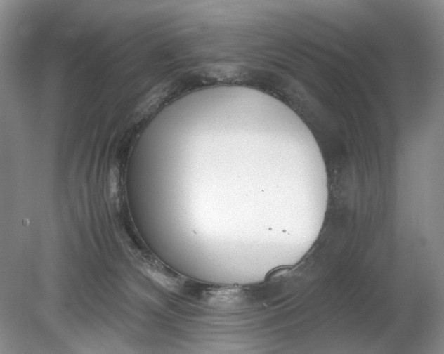 X0000078880132200611271337