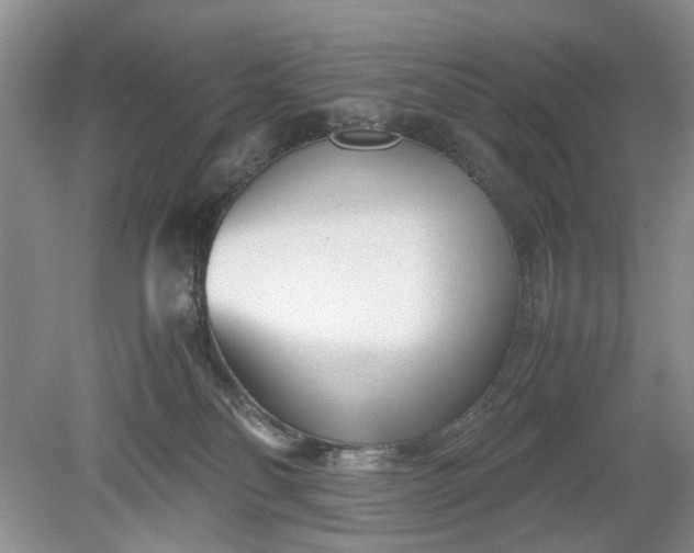 X0000078880134200611271337