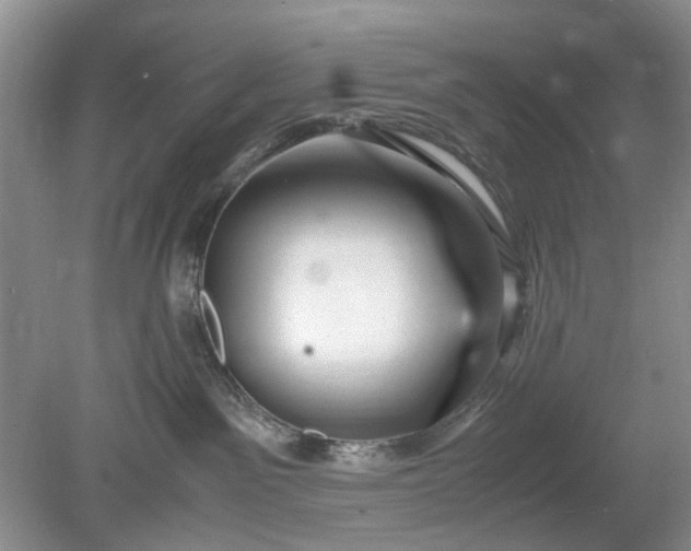 X0000078880141200611271336