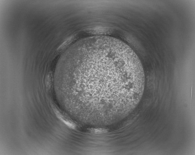 X0000078880165200611271336