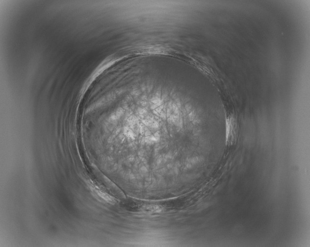 X0000078880195200611271335