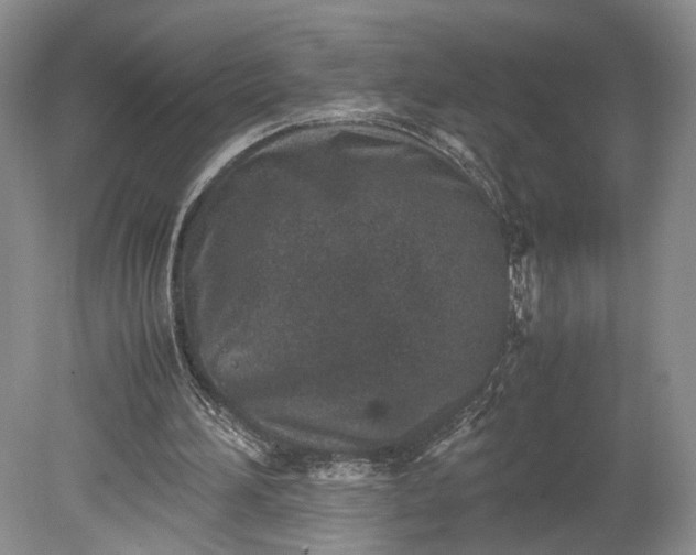 X0000078880196200611271335