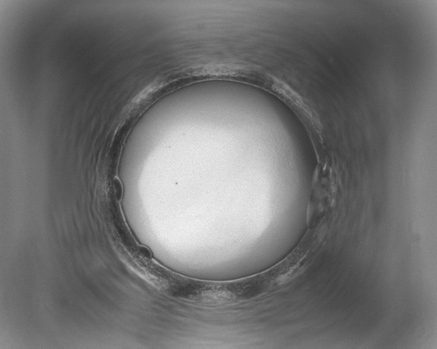 X0000078880203200611271335