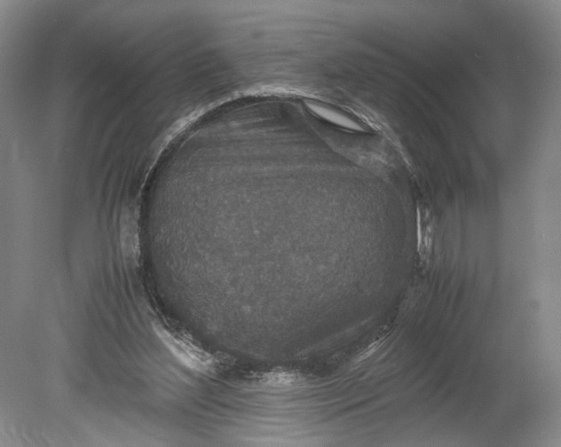 X0000078880204200611271335