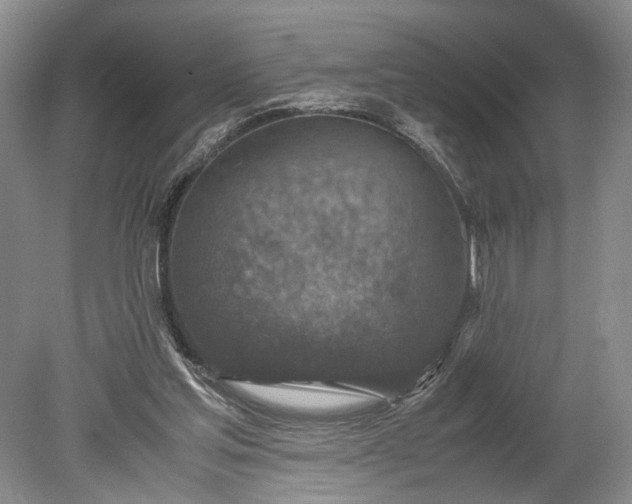 X0000078880205200611271335