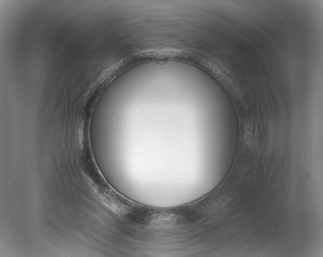 X0000078880206200611271335