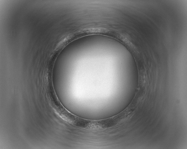 X0000078880207200611271335