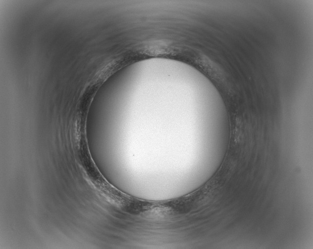 X0000078880210200611271335