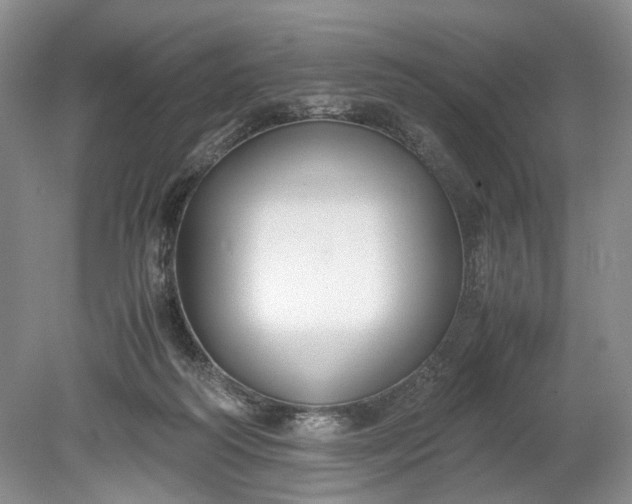 X0000078880218200611271335