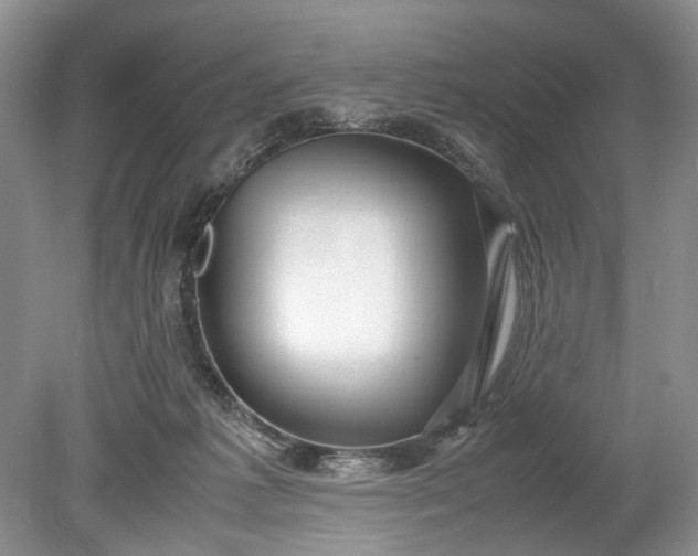 X0000078880221200611271335