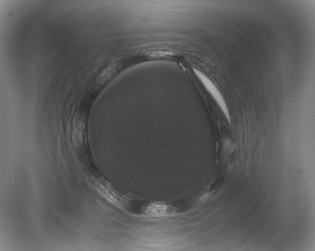 X0000078880227200611271335