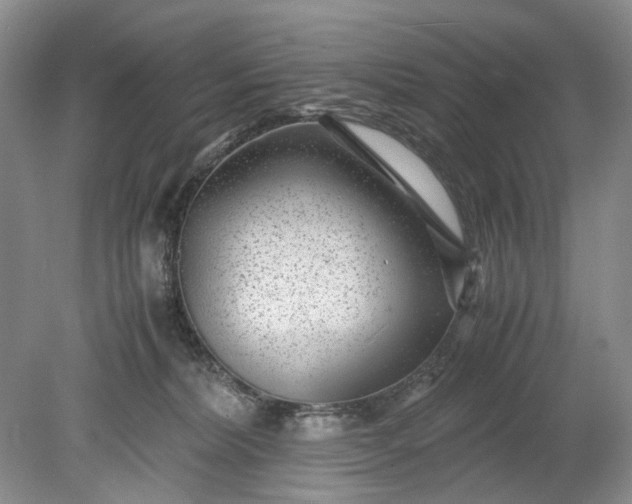 X0000078880228200611271335