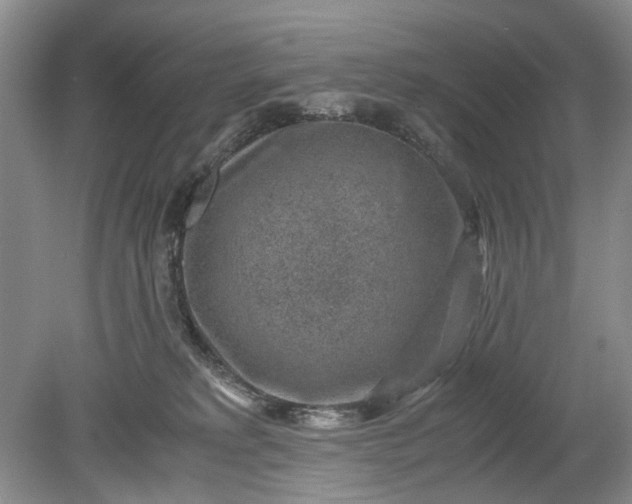 X0000078880229200611271335