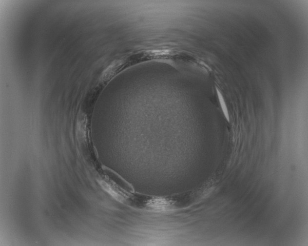 X0000078880231200611271335