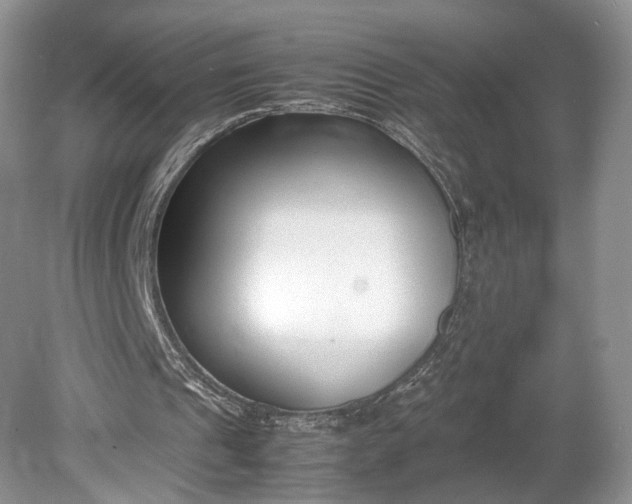 X0000078880241200611271334