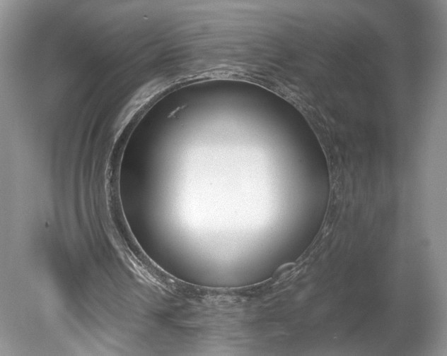 X0000078880242200611271334