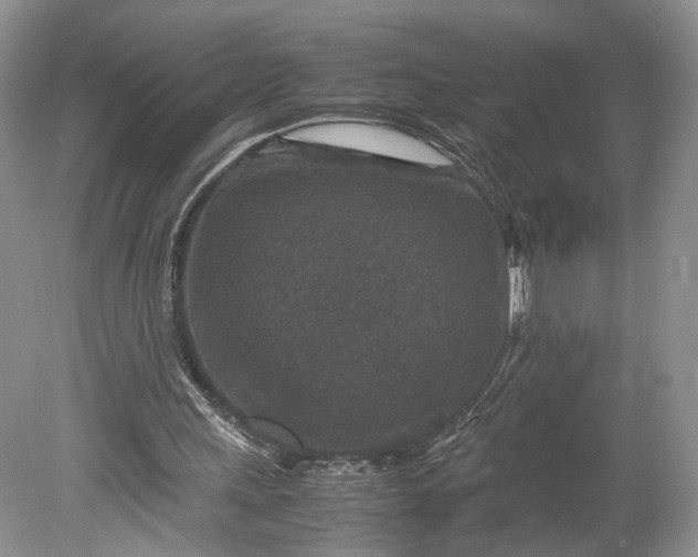 X0000078880243200611271334
