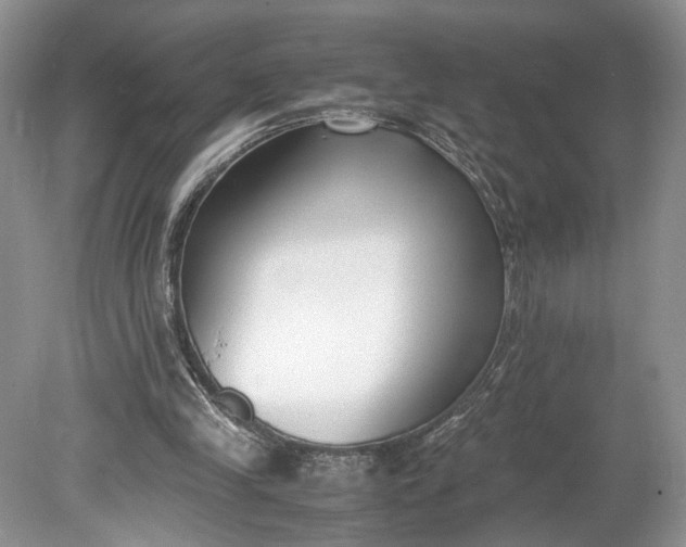 X0000078880245200611271334