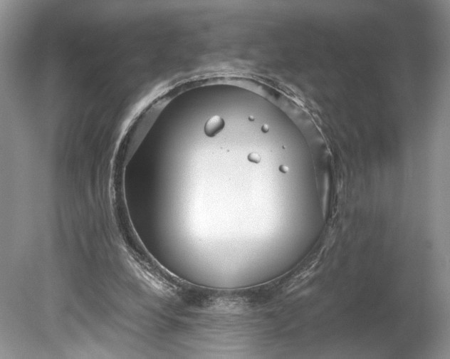 X0000078880248200611271334